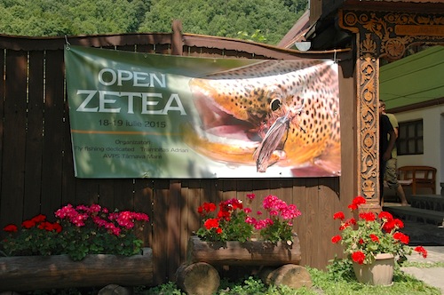 2015_zetea_3
