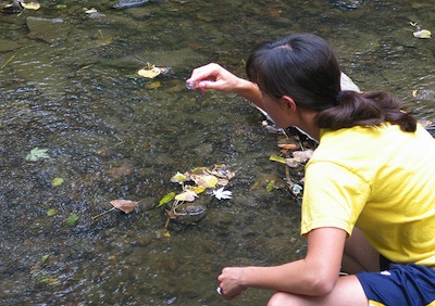 800px-field_trip-_water_sampling