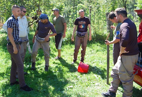 ariesavp2013_2