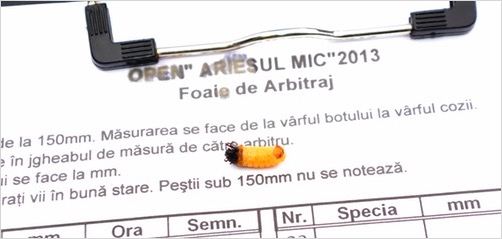 ariesmic2013_4