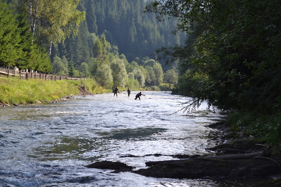 bucovina2016_4