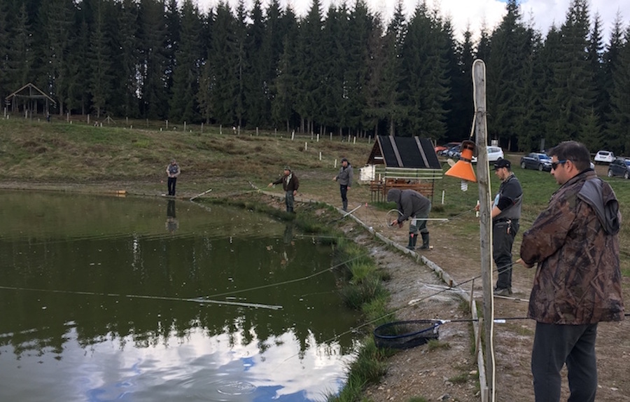 cupatbelis2019_04
