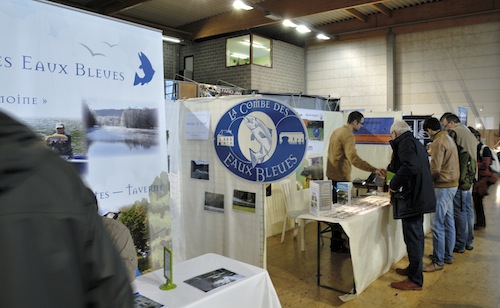 fdlpalmr2015_10