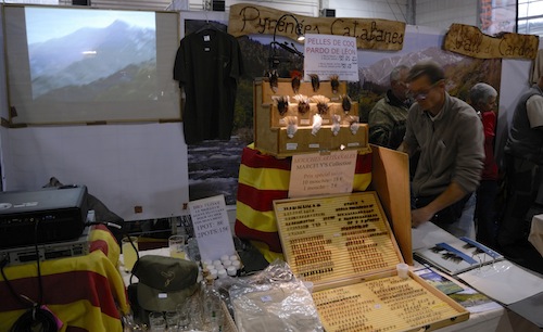 fdlpalmr2015_9