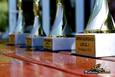 gurghiu2013_12