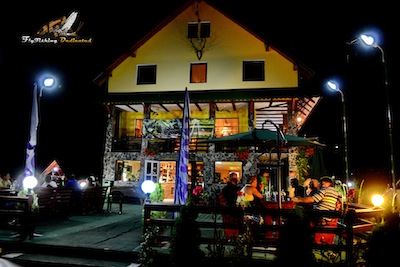 gurghiu2013_14