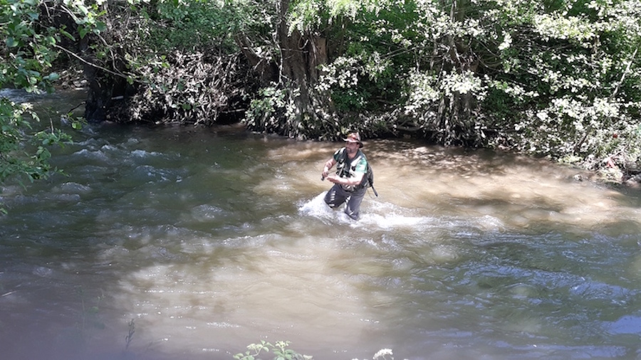 opencerna_2019_03