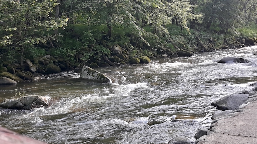 opencerna_2019_08