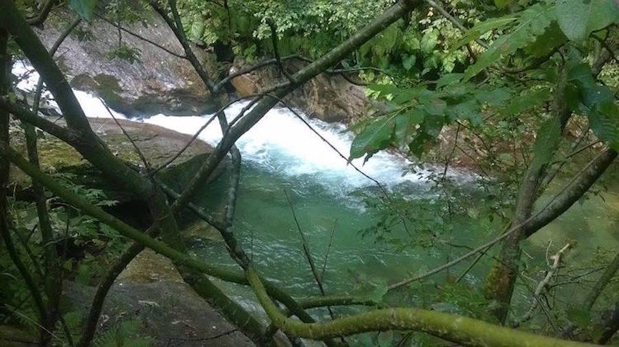 orbarbat2