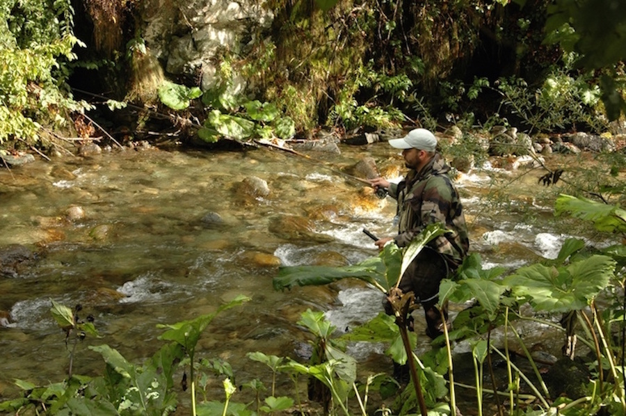 orbarbat6