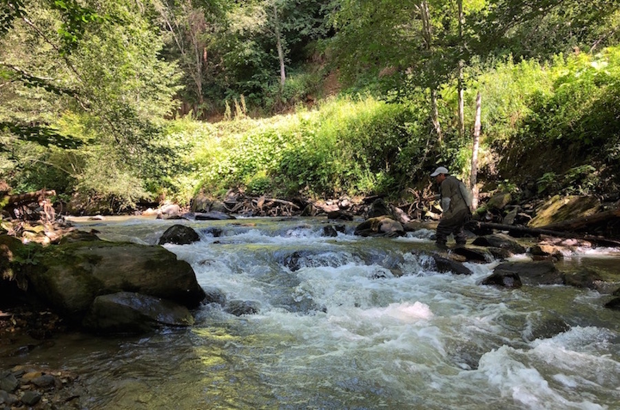 rebra2019_01