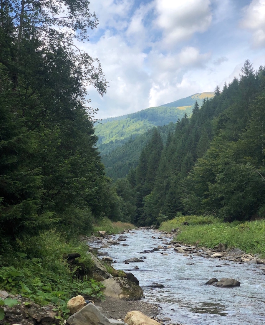 rebra2019_02