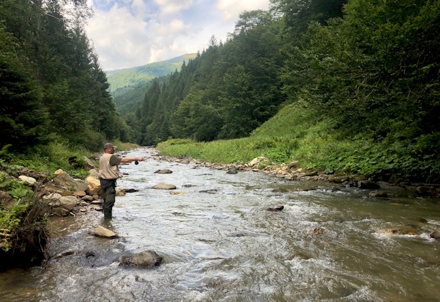rebra2019_07