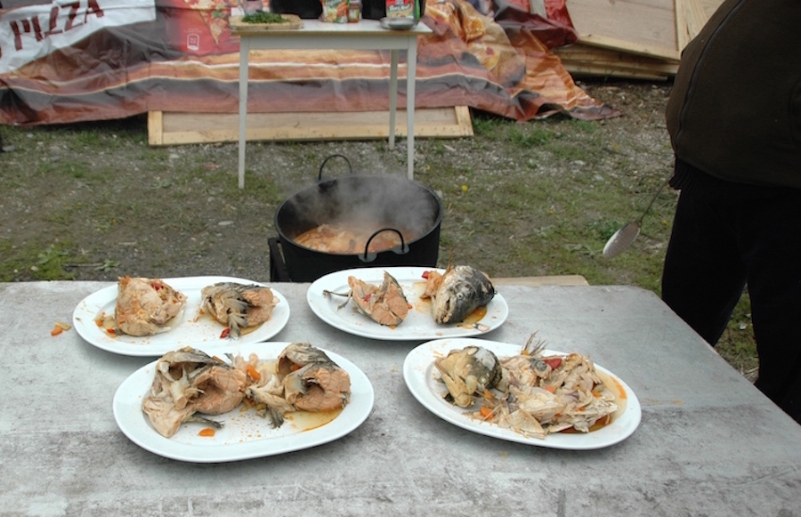 sacalaia_07