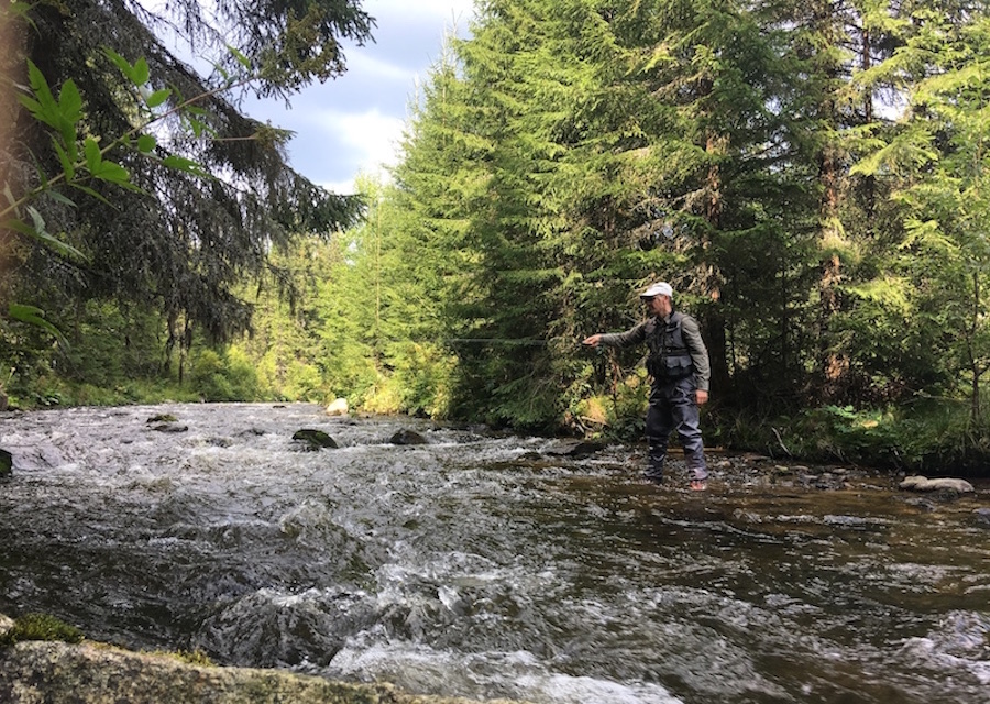 somesrece2018_18