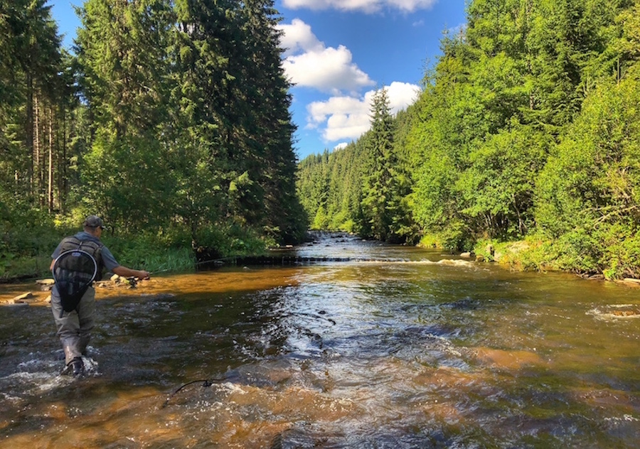 somesrece2018_35