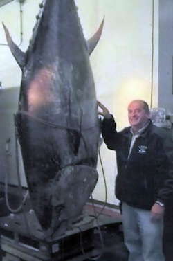 tunafish