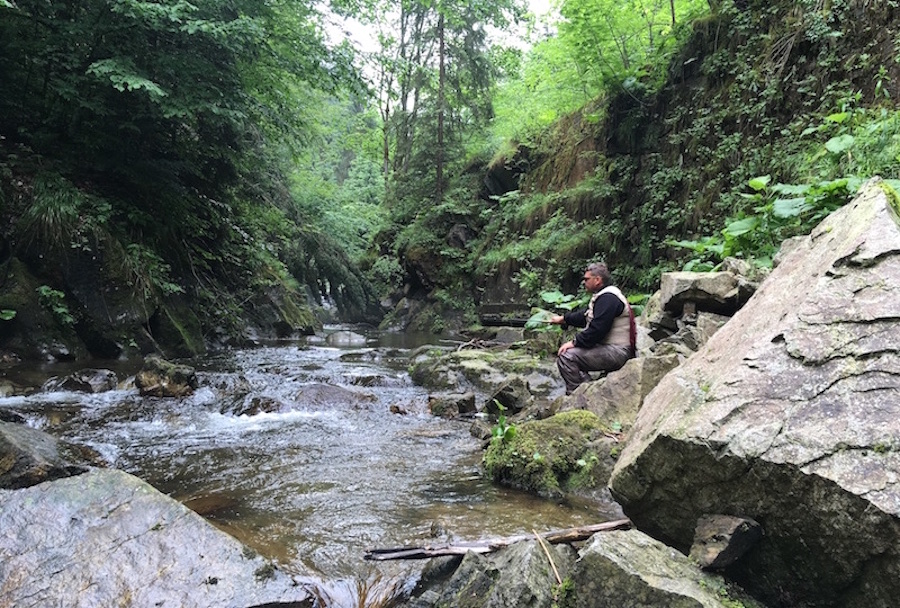 valeaiad2018_038