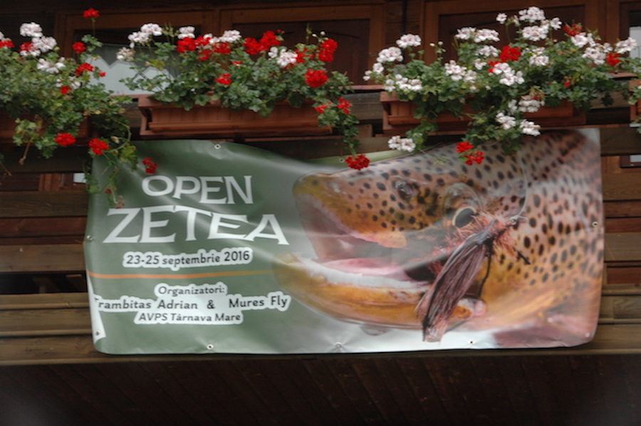 zetea2016_13